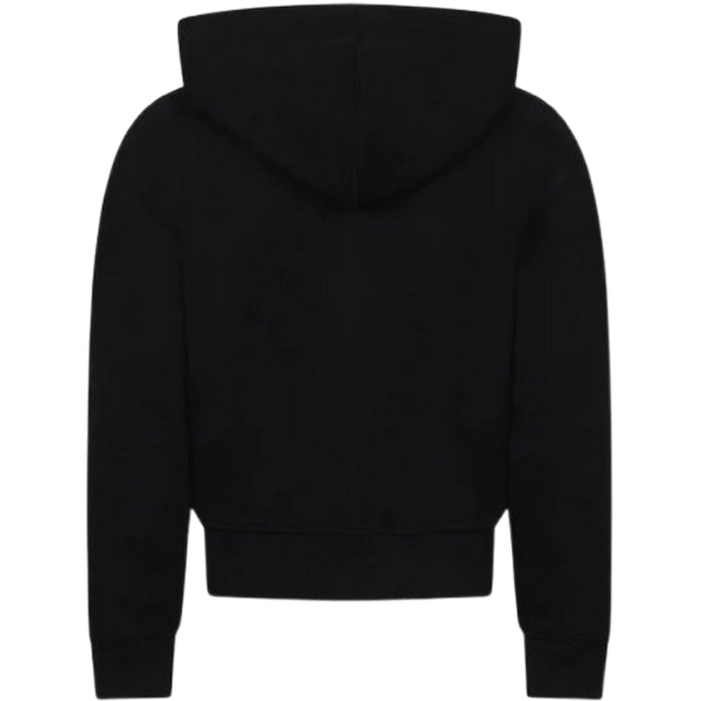 Felpe con cappuccio Bambini Unisex Dickies - K Terry Full Zip Hoodie - Nero