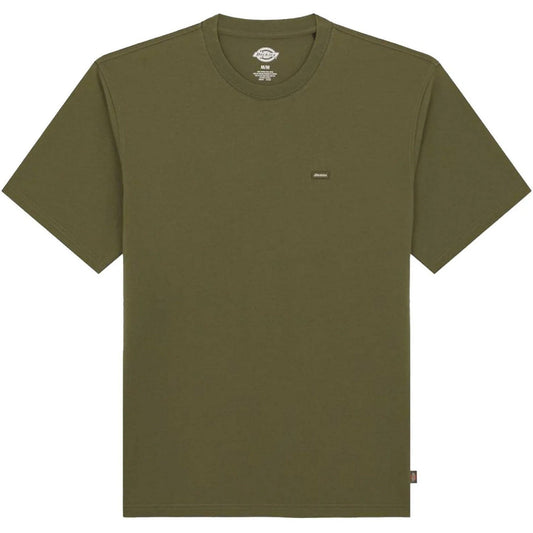 T-shirt Uomo Dickies - Clancy Heavyweight Tee Ss - Verde