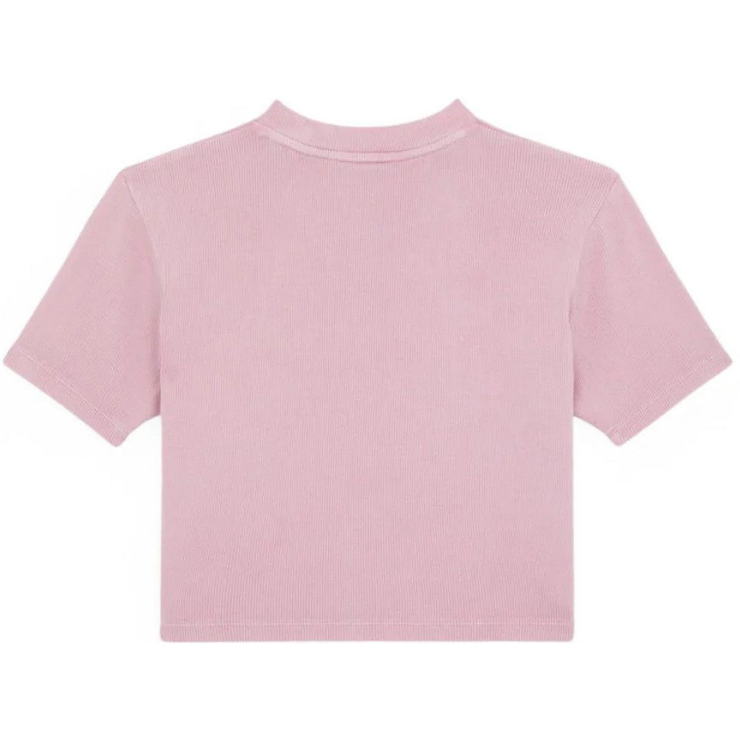 T-shirt Donna Dickies - Plentywood Tee Ss W - Lilla