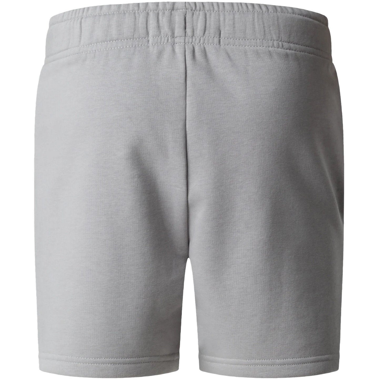 Pantaloncini Ragazzi Unisex The North Face - Teen Simple Dome Light Reg Short - Grigio