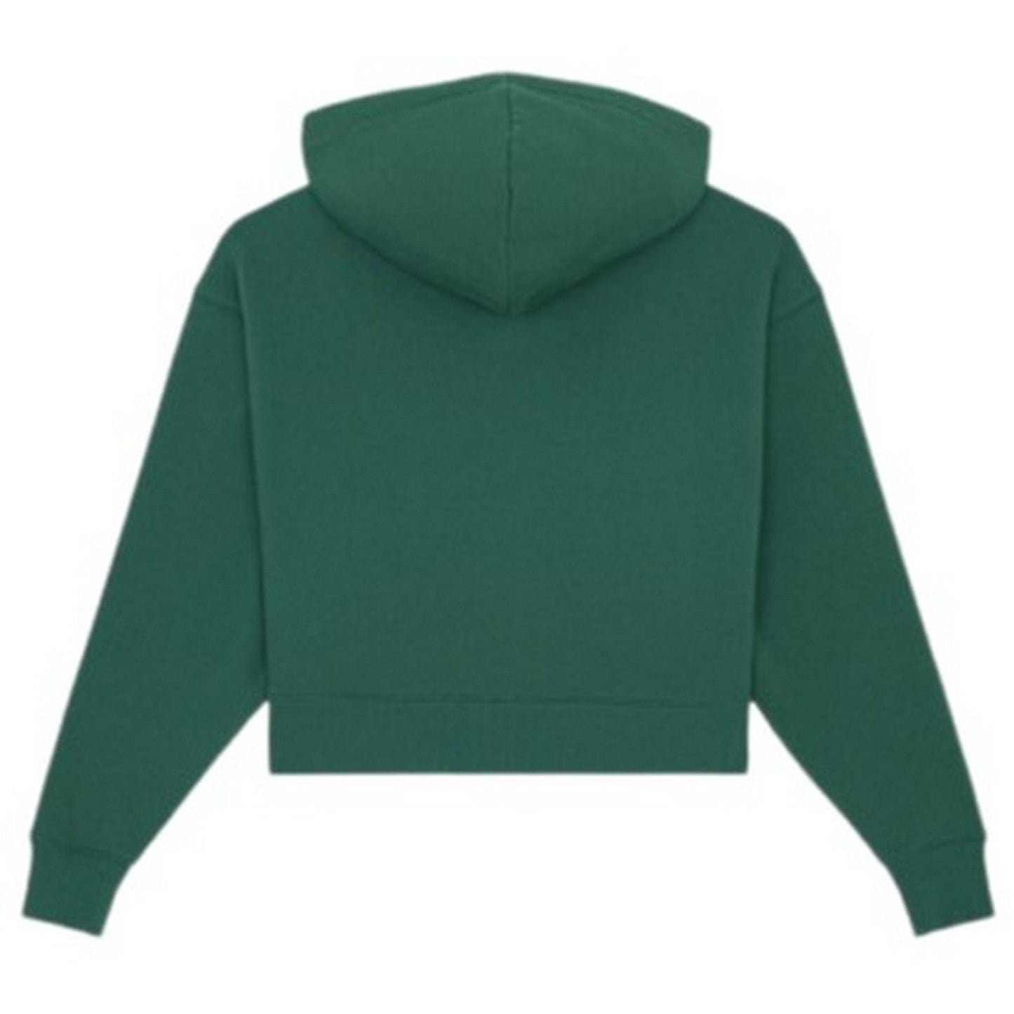 Felpe con cappuccio Donna Dickies - Oakport Zip Hoodie W - Verde