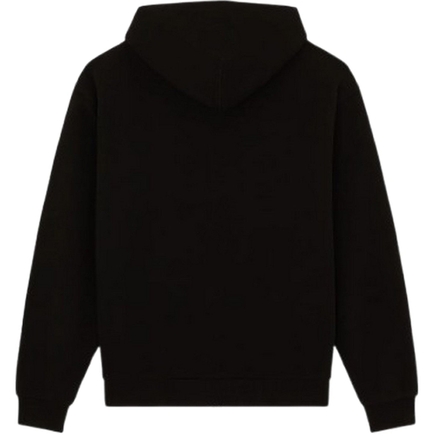 Felpe con cappuccio Uomo Dickies - Fostoria Fz Hoodie - Nero