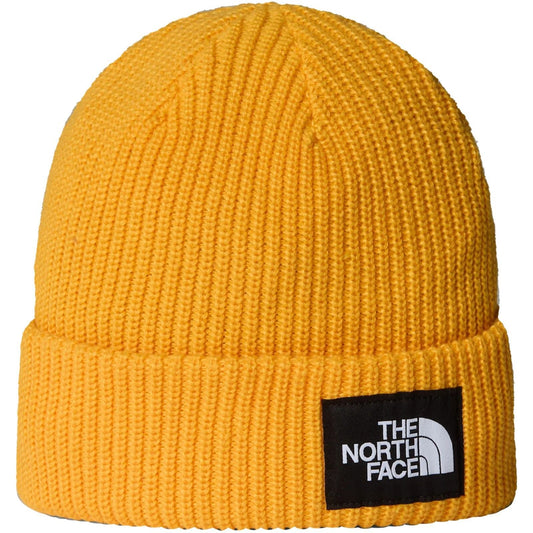 Berretti in maglia Unisex The North Face - Salty Lined Beanie - Giallo
