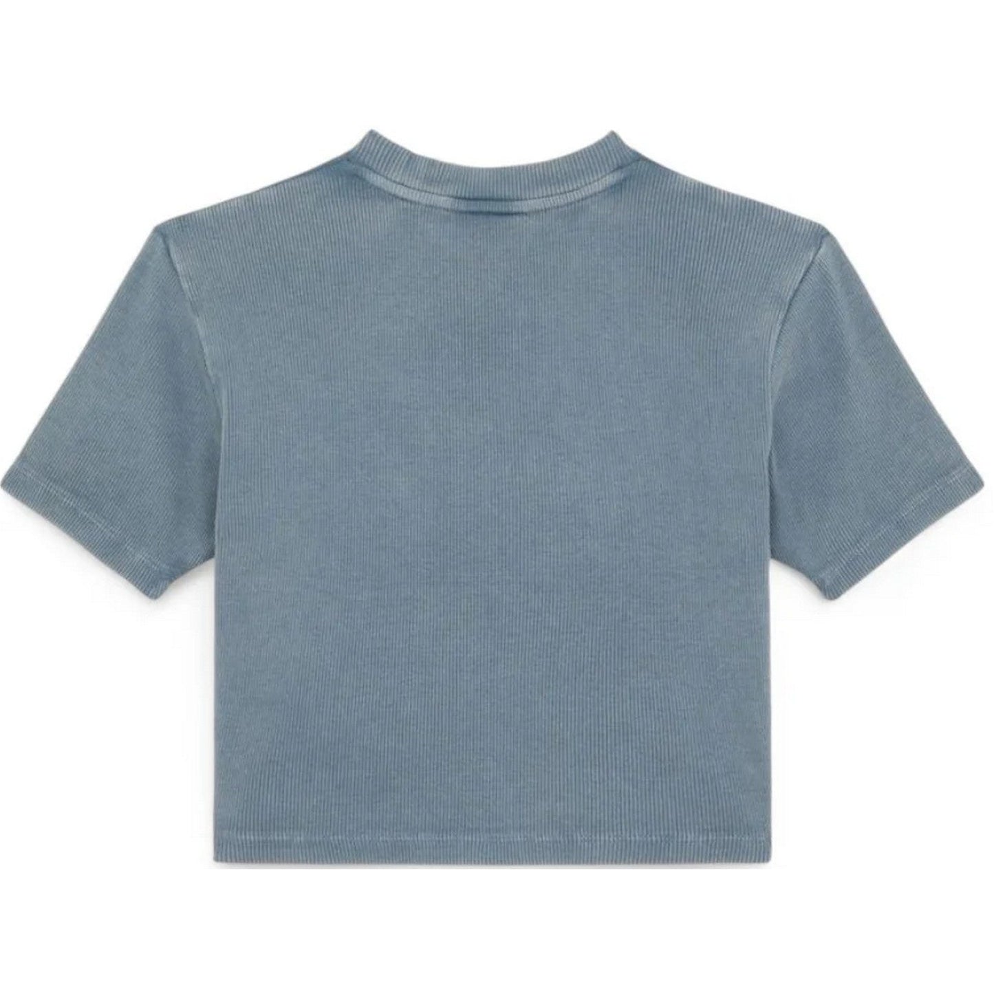 T-shirt Donna Dickies - Plentywood Tee Ss W - Blu