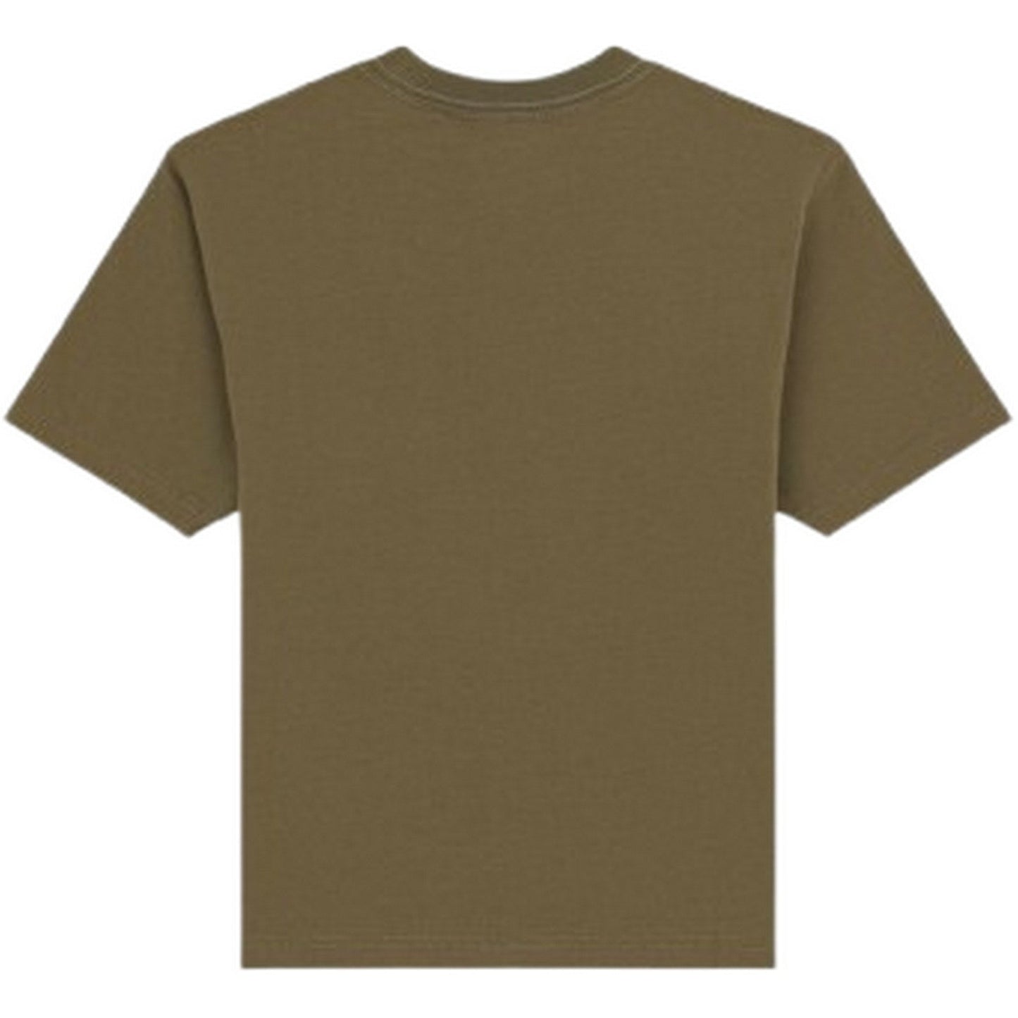 T-shirt Donna Dickies - Maple Valley Reg Tee W - Verde