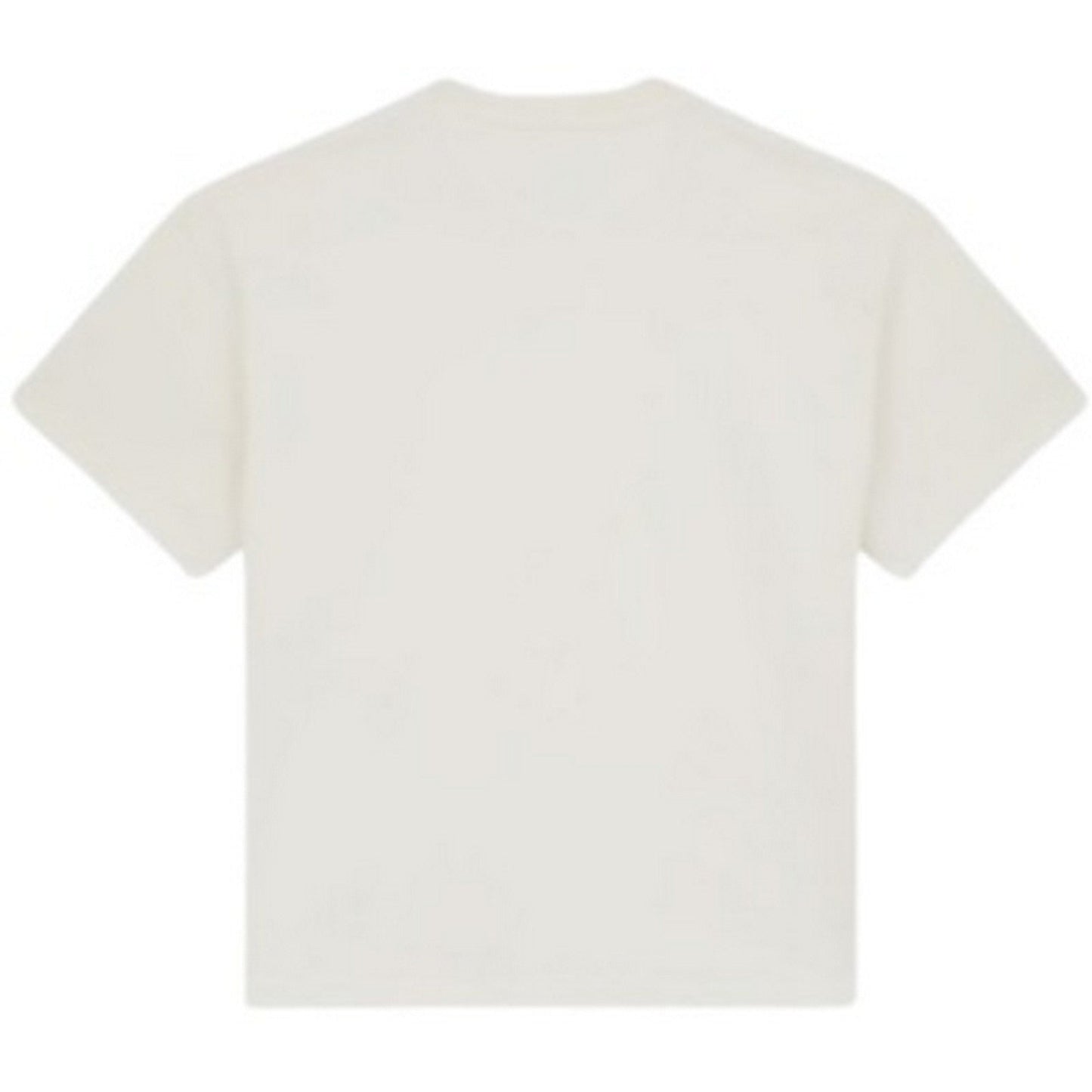 T-shirt Uomo Dickies - Mineral Heavyweight Ss Tee - Bianco