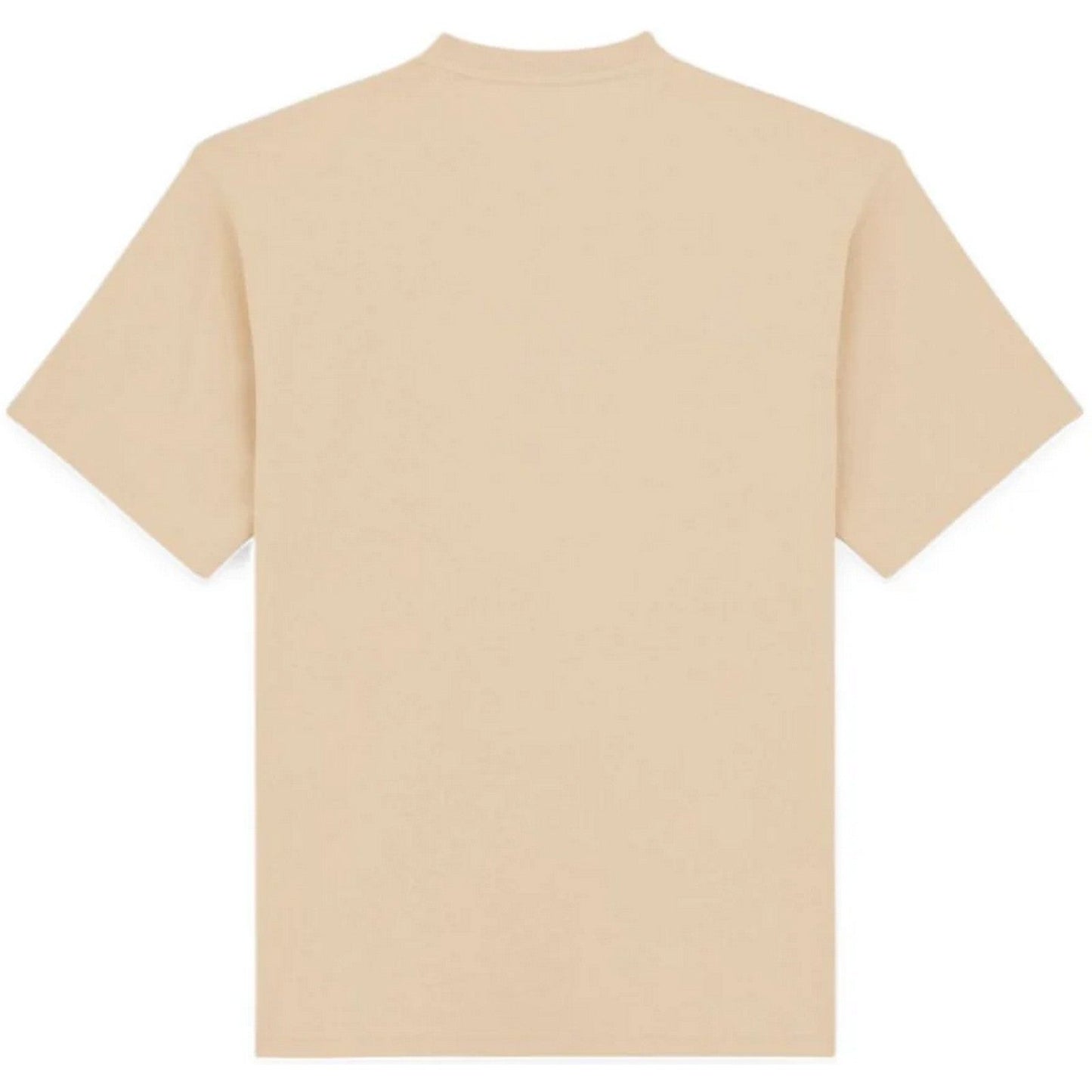 T-shirt Uomo Dickies - Clancy Heavyweight Tee Ss - Beige