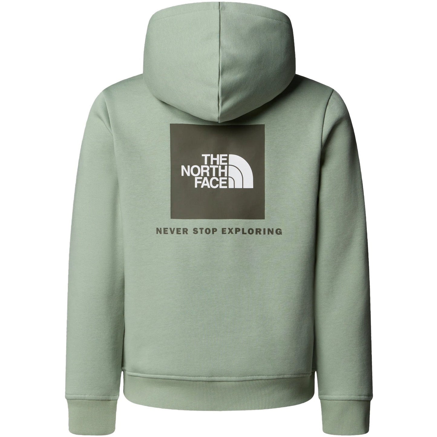 Felpe con cappuccio Ragazzi Unisex The North Face - Teen Box Nse Regular Pullover Hoodie - Verde
