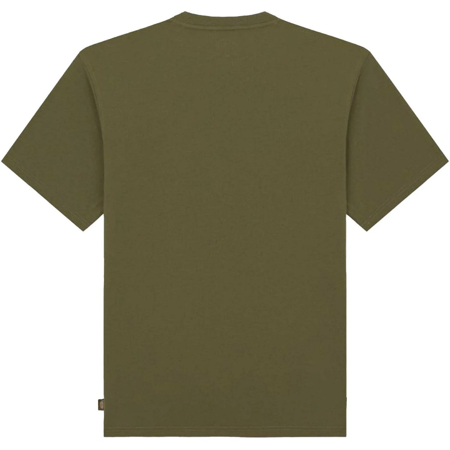 T-shirt Uomo Dickies - Clancy Heavyweight Tee Ss - Verde