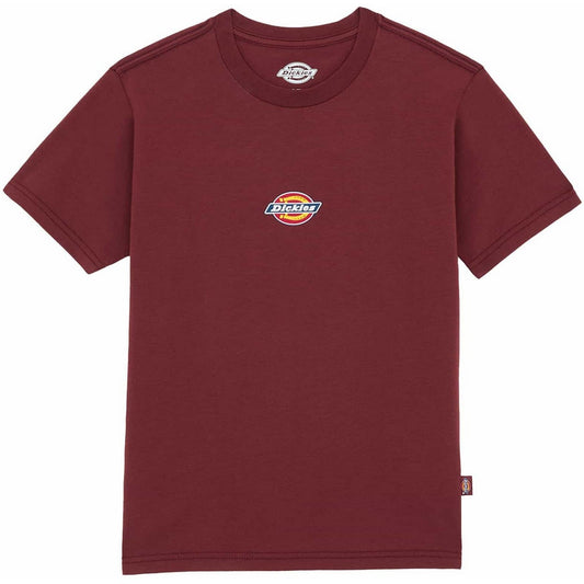 T-shirt Donna Dickies - Maple Valley Reg Tee W - Marrone