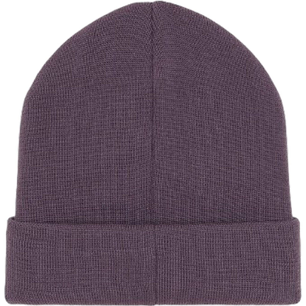 Berretti in maglia Uomo Dickies - Summerdale Beanie - Viola