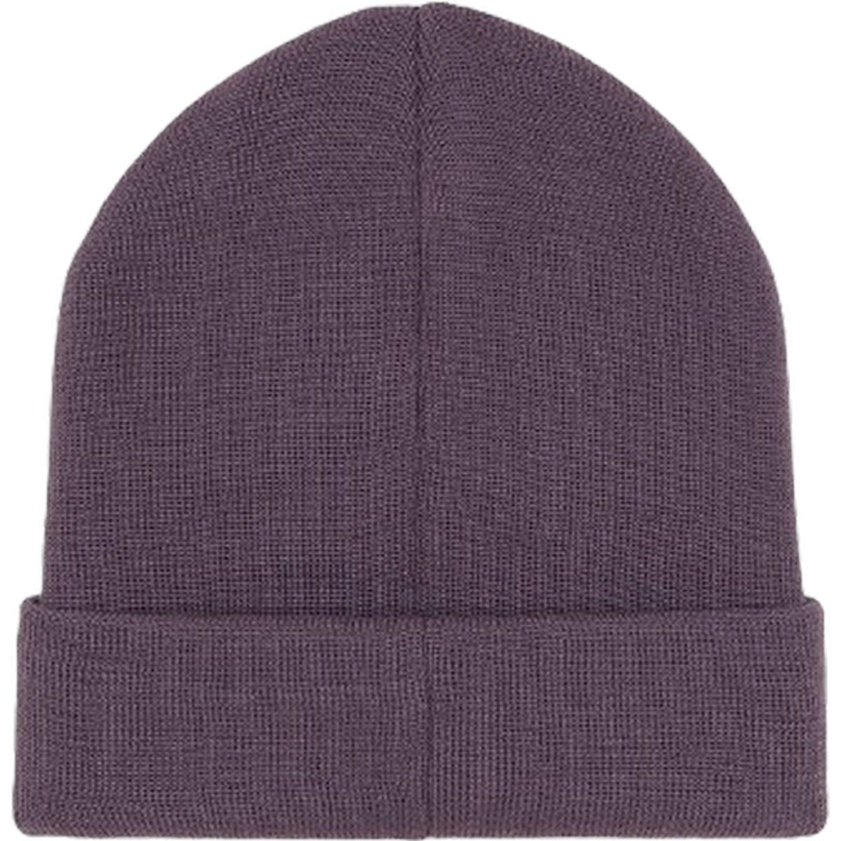 Berretti in maglia Uomo Dickies - Summerdale Beanie - Viola