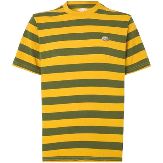 T-shirt Uomo Dickies - Rivergrove Ss Tee - Multicolore