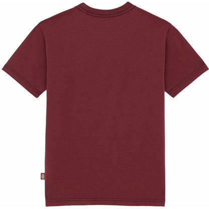 T-shirt Donna Dickies - Maple Valley Reg Tee W - Marrone