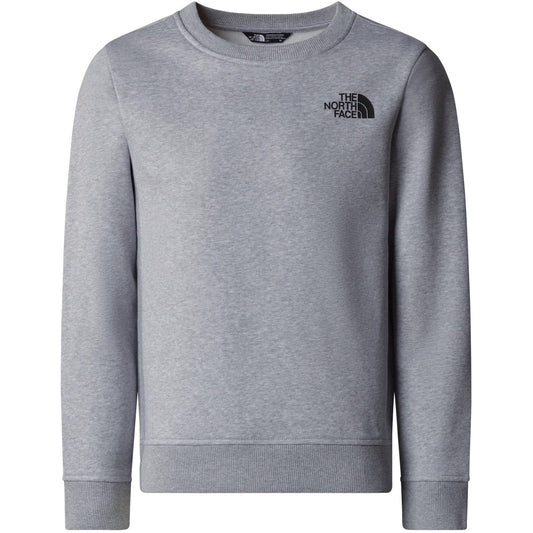 Felpe senza cappuccio Ragazzi Unisex The North Face - Teen Box Nse Regular Crew - Grigio