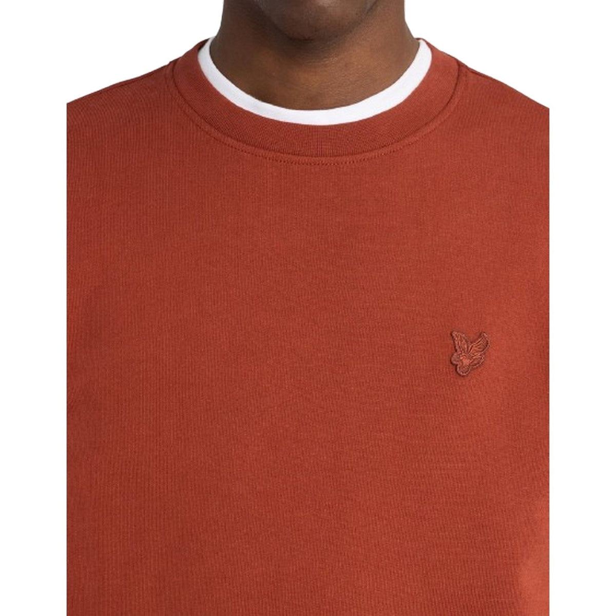 Maglie a manica lunga Uomo Lyle & Scott - Superfine Crew Neck Sweatshirt - Multicolore