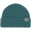 Berretti in maglia Unisex Dickies - Woodworth Waffle Beanie - Multicolore