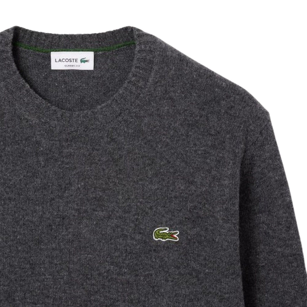Maglioni Uomo Lacoste - Pullover - Grigio