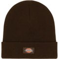 Berretti in maglia Uomo Dickies - Gibsland Beanie - Marrone