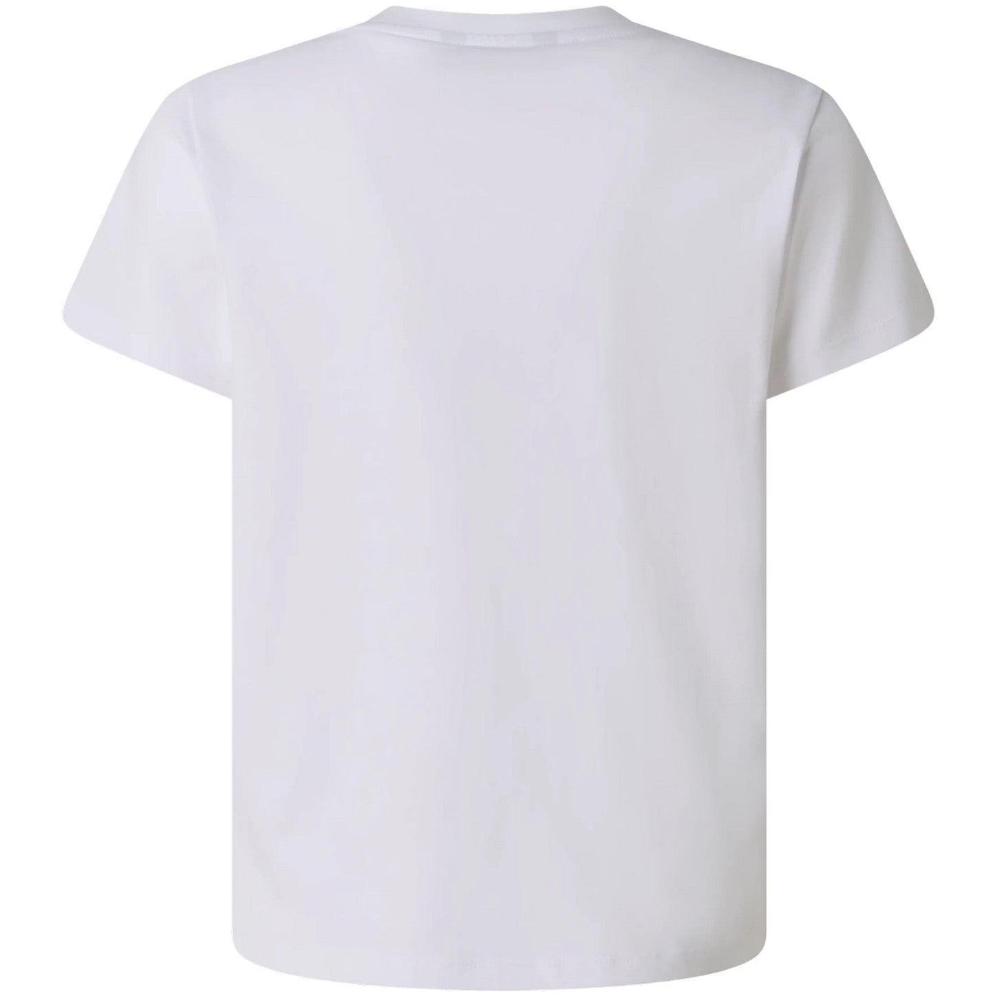 T-shirt Bambino The North Face - B Liquid Logo Reg Ss Tee Tnf White - Bianco