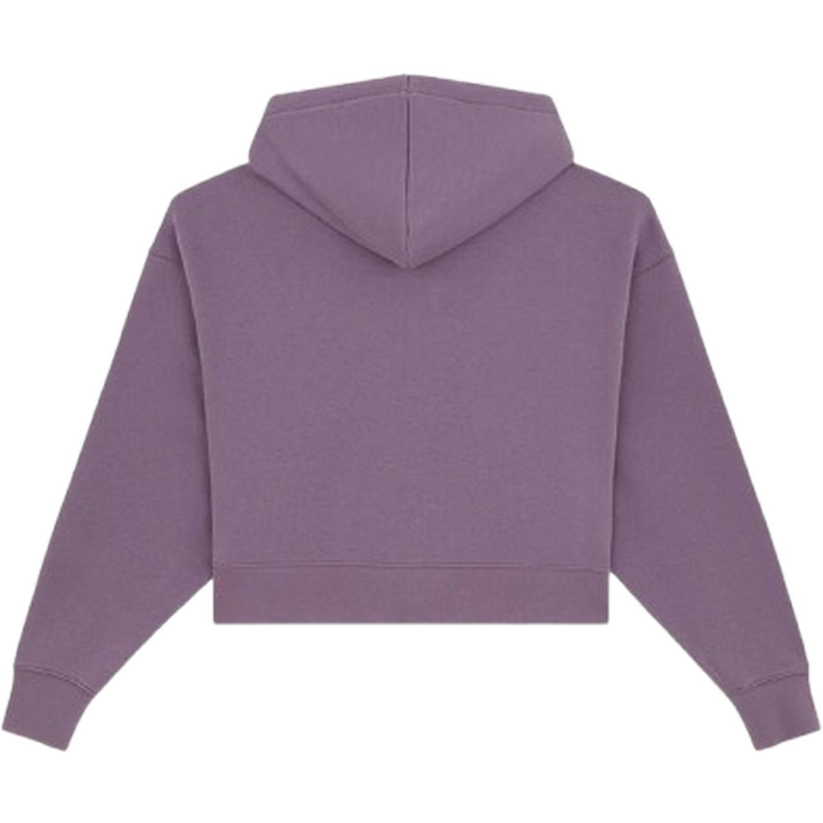 Felpe con cappuccio Donna Dickies - Oakport Zip Hoodie W - Viola