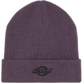Berretti in maglia Uomo Dickies - Summerdale Beanie - Viola