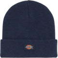 Berretti in maglia Uomo Dickies - Gibsland Beanie - Blu