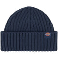 Berretti in maglia Uomo Dickies - Lockwood Beanie - Blu