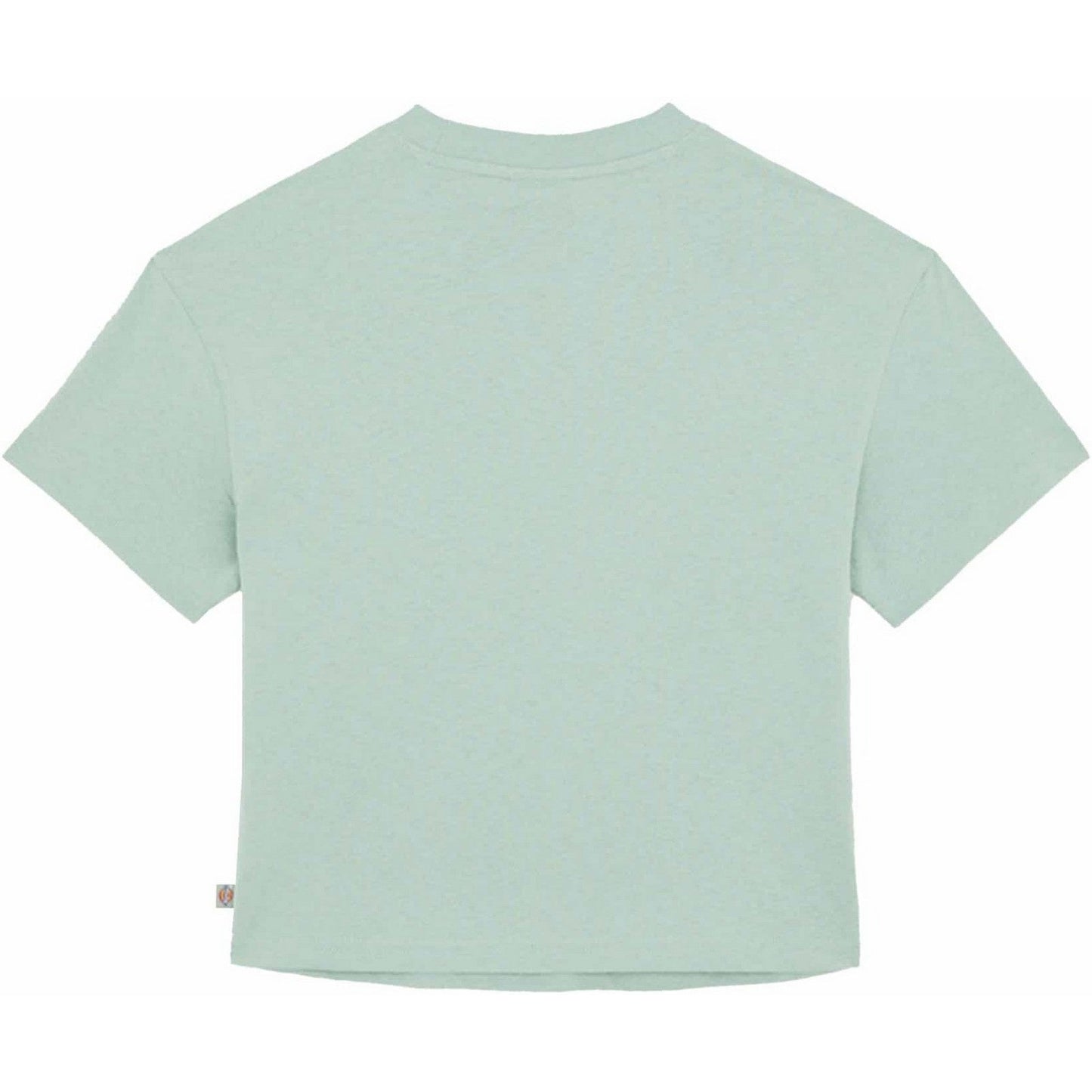 T-shirt Donna Dickies - Oakport Boxy Tee Ss W - Verde