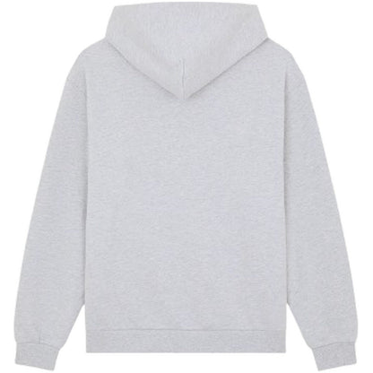 Felpe con cappuccio Uomo Dickies - Fostoria Fz Hoodie - Grigio