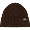 Berretti in maglia Uomo Dickies - Lockwood Beanie - Marrone
