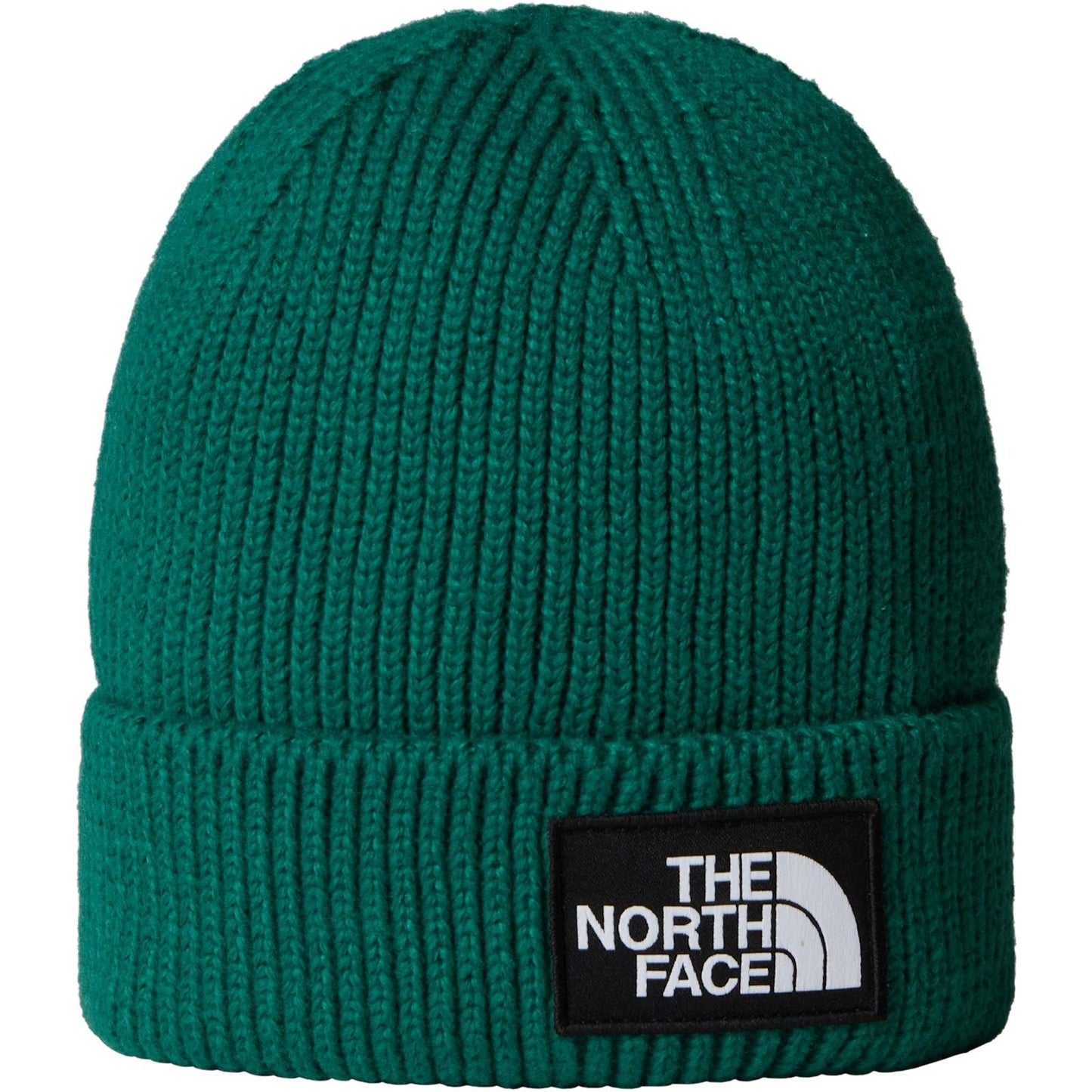 Berretti in maglia Unisex The North Face - Tnf Logo Box Cuffed Beanie - Verde