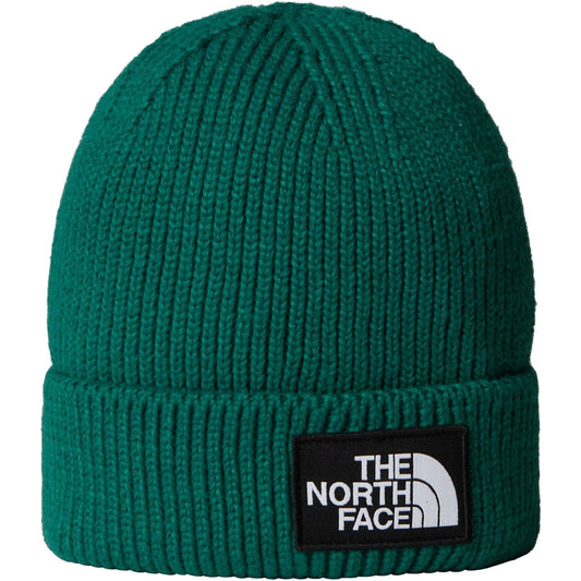 Berretti in maglia Unisex The North Face - Tnf Logo Box Cuffed Beanie - Verde